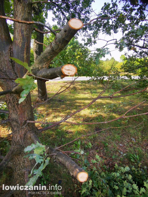 Zniszczone drzewa pomiędzy DK14 a ul. Tuszewską