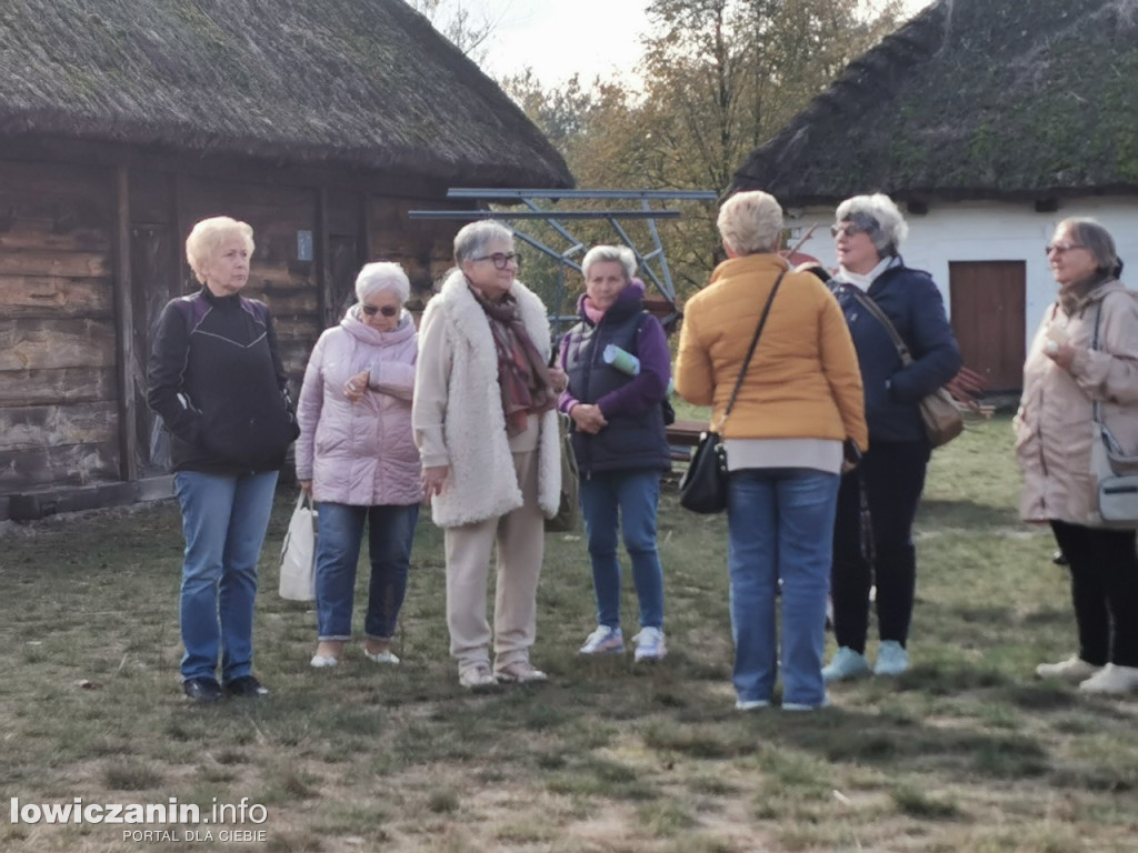 Skansen w Maurzycach