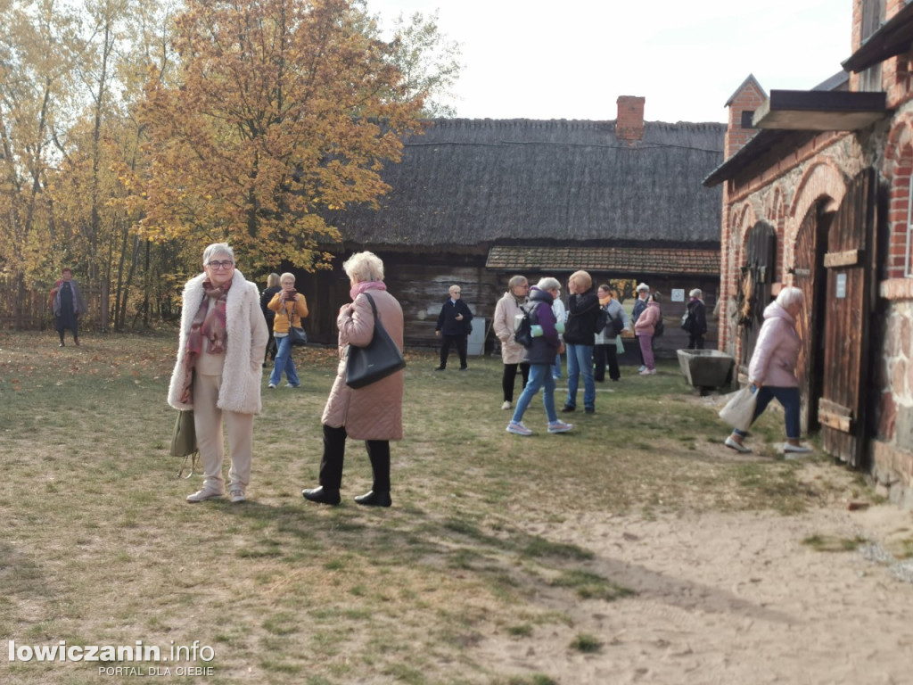 Skansen w Maurzycach
