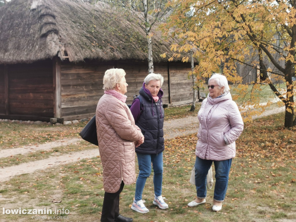 Skansen w Maurzycach