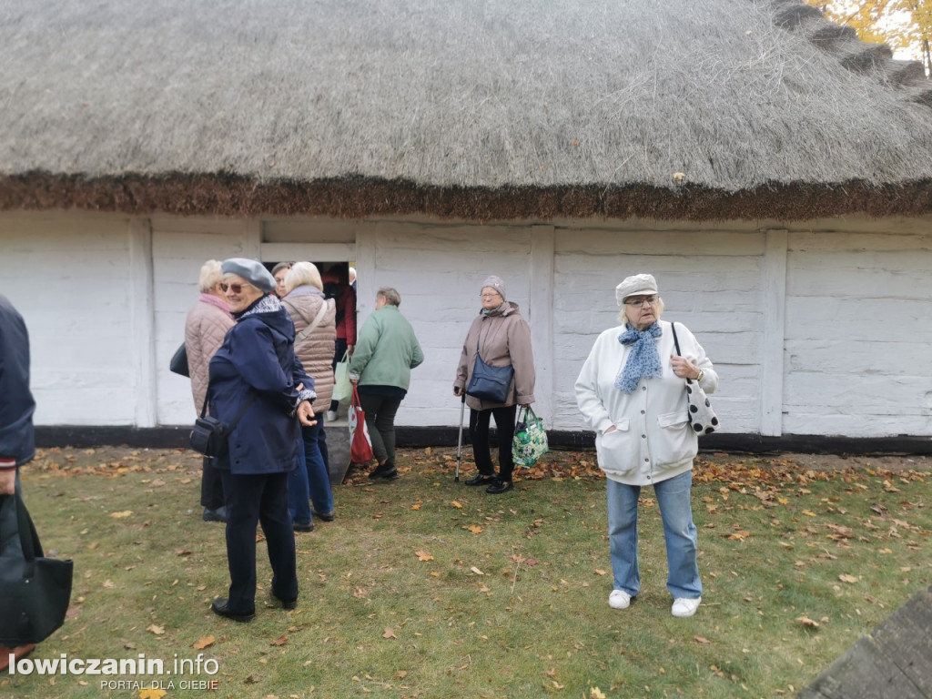Skansen w Maurzycach