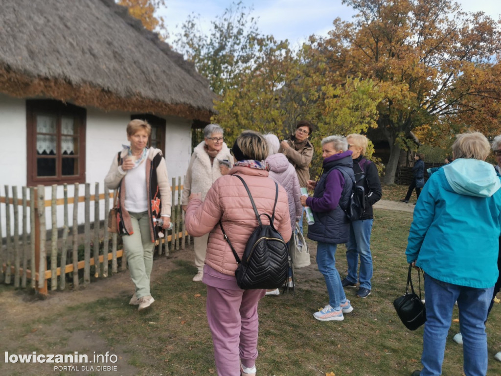Skansen w Maurzycach