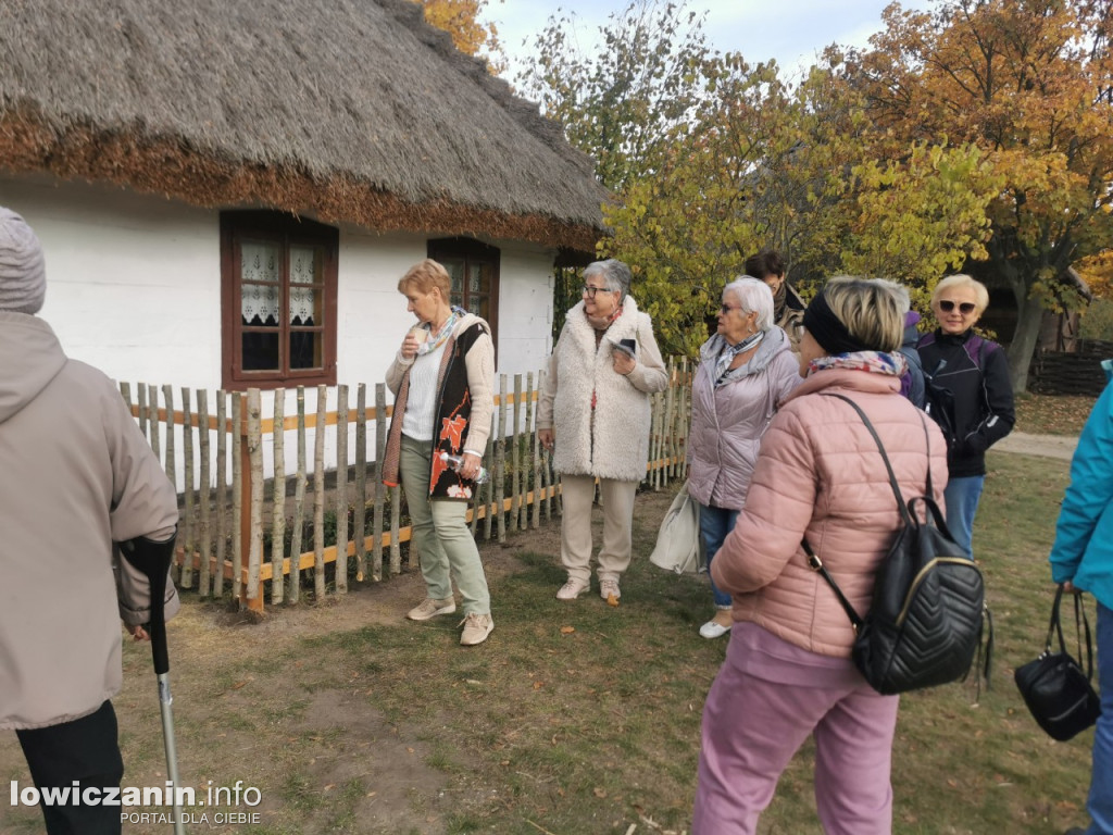 Skansen w Maurzycach