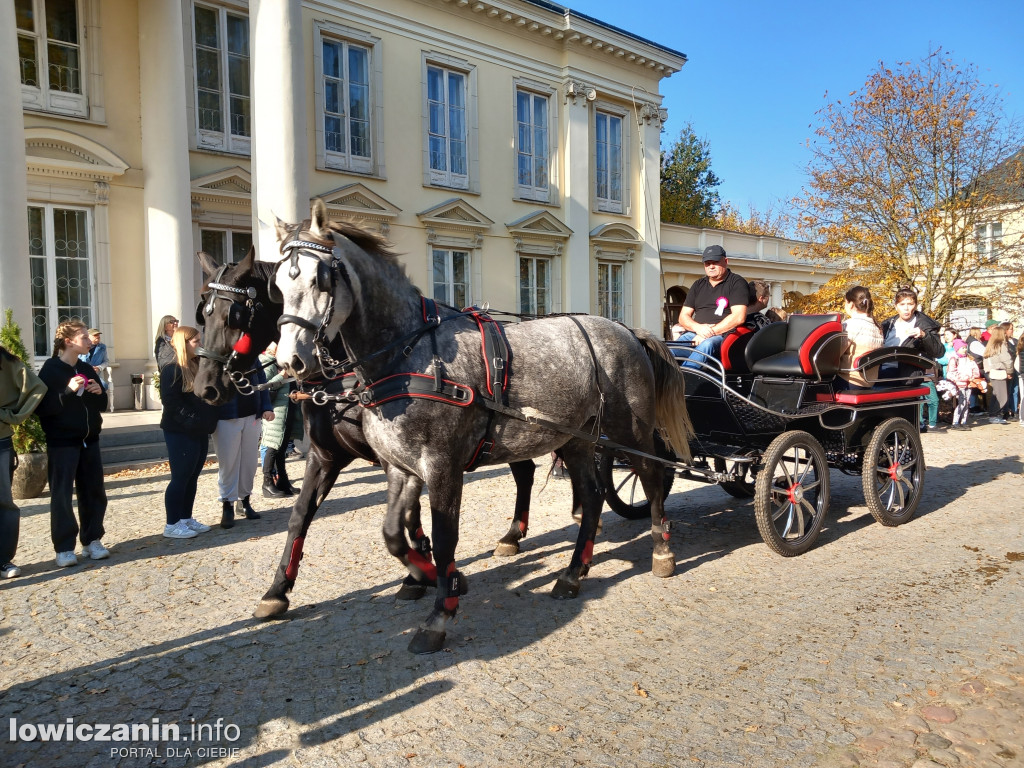 Hubertus w Walewicach