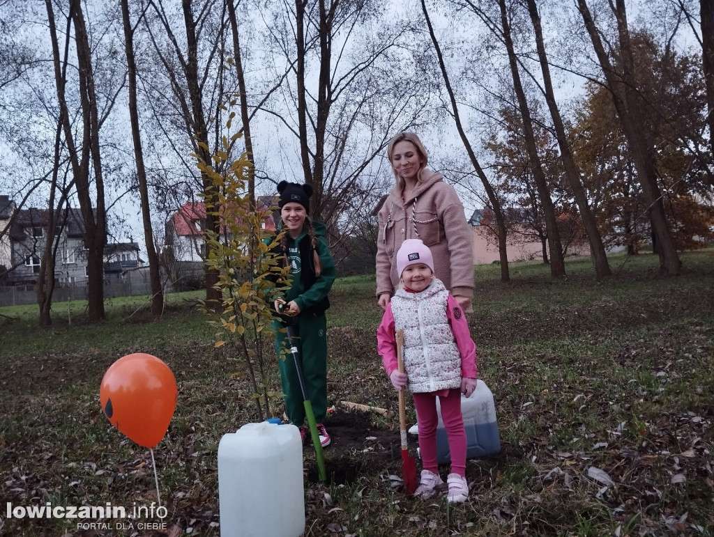 Fundacja Prolas posadziła drzewa przy ul. Motylińskiego