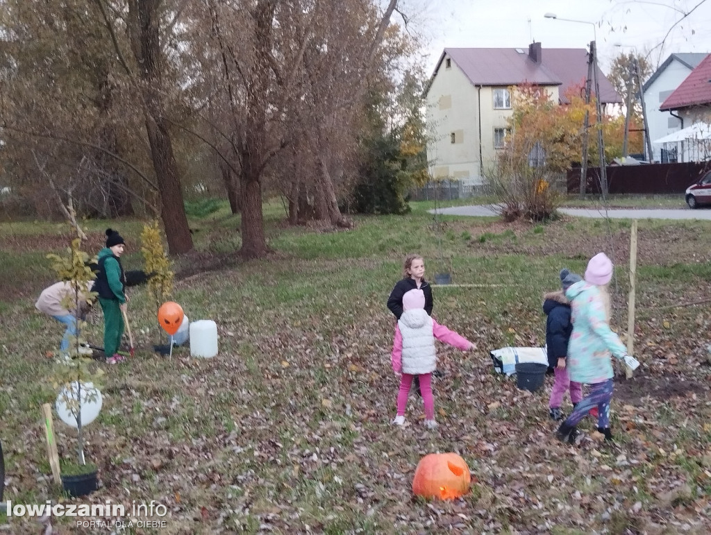 Fundacja Prolas posadziła drzewa przy ul. Motylińskiego