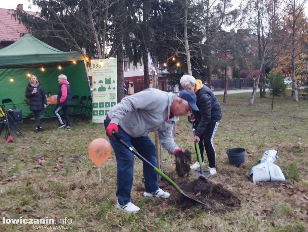 Fundacja Prolas posadziła drzewa przy ul. Motylińskiego
