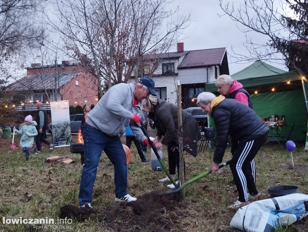 Fundacja Prolas posadziła drzewa przy ul. Motylińskiego