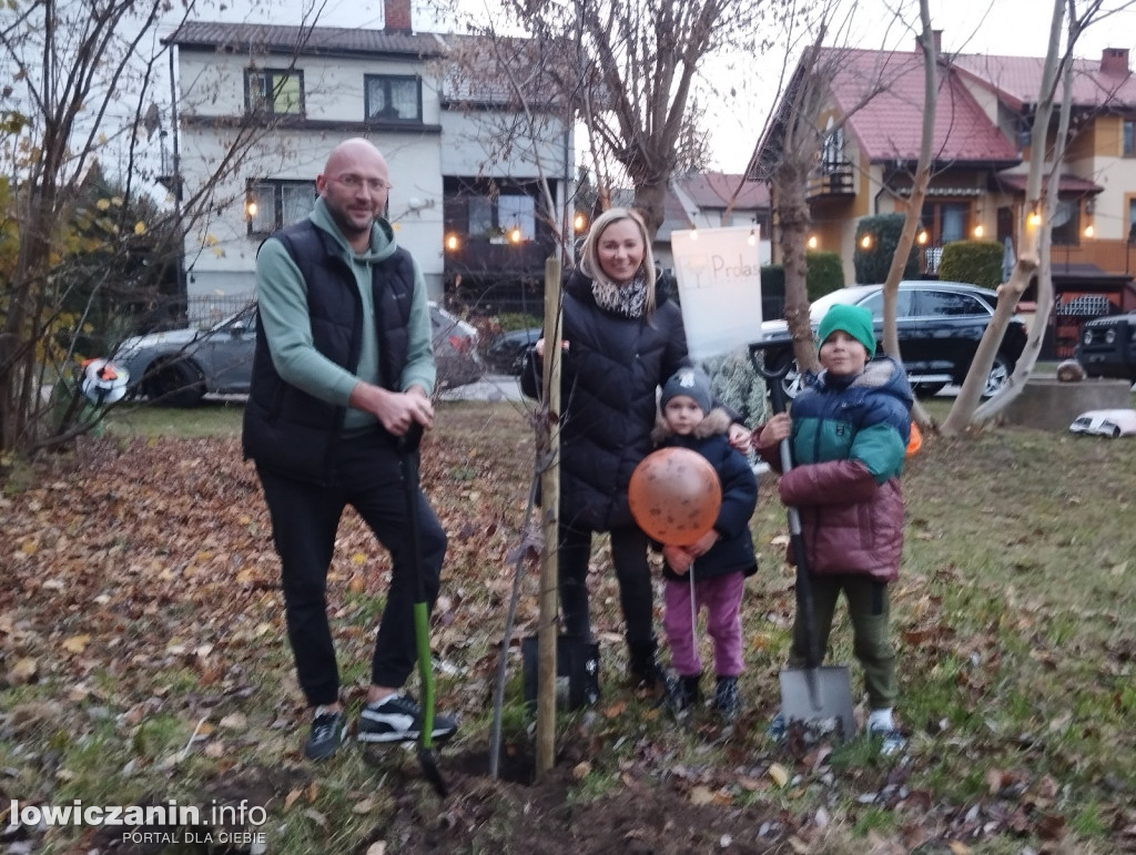 Fundacja Prolas posadziła drzewa przy ul. Motylińskiego