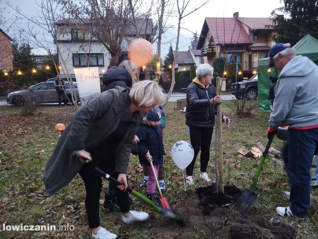 Fundacja Prolas posadziła drzewa przy ul. Motylińskiego