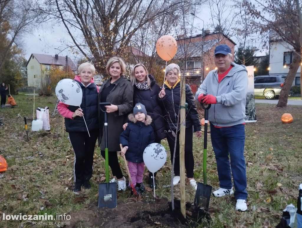 Fundacja Prolas posadziła drzewa przy ul. Motylińskiego