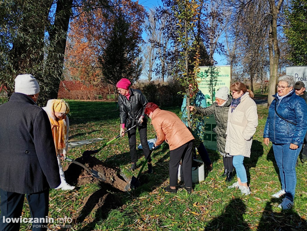 ŁUTW posadził kolejne drzewo z fundacją Prolas