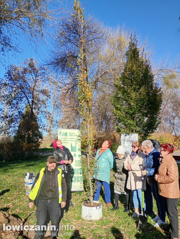 ŁUTW posadził kolejne drzewo z fundacją Prolas