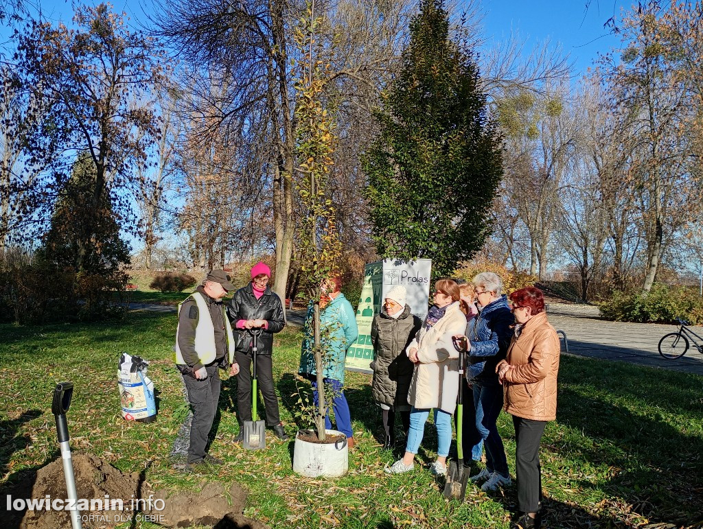 ŁUTW posadził kolejne drzewo z fundacją Prolas