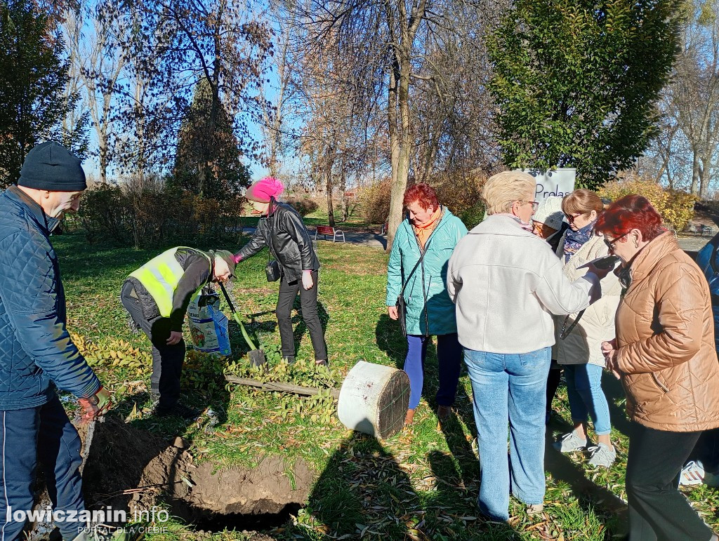 ŁUTW posadził kolejne drzewo z fundacją Prolas