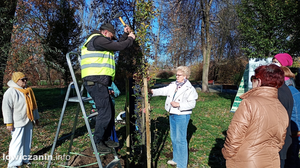 ŁUTW posadził kolejne drzewo z fundacją Prolas