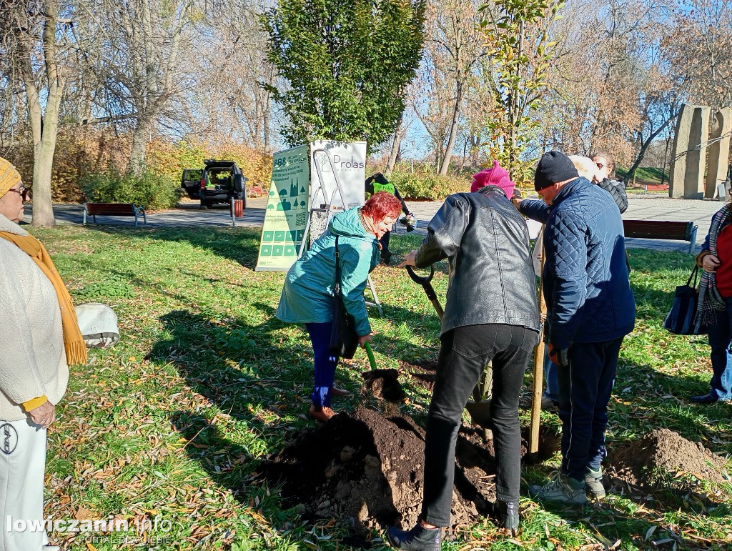 ŁUTW posadził kolejne drzewo z fundacją Prolas