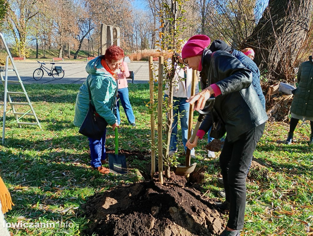 ŁUTW posadził kolejne drzewo z fundacją Prolas