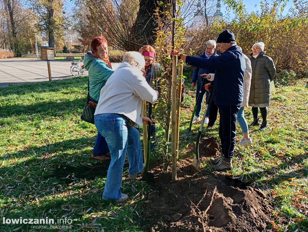 ŁUTW posadził kolejne drzewo z fundacją Prolas