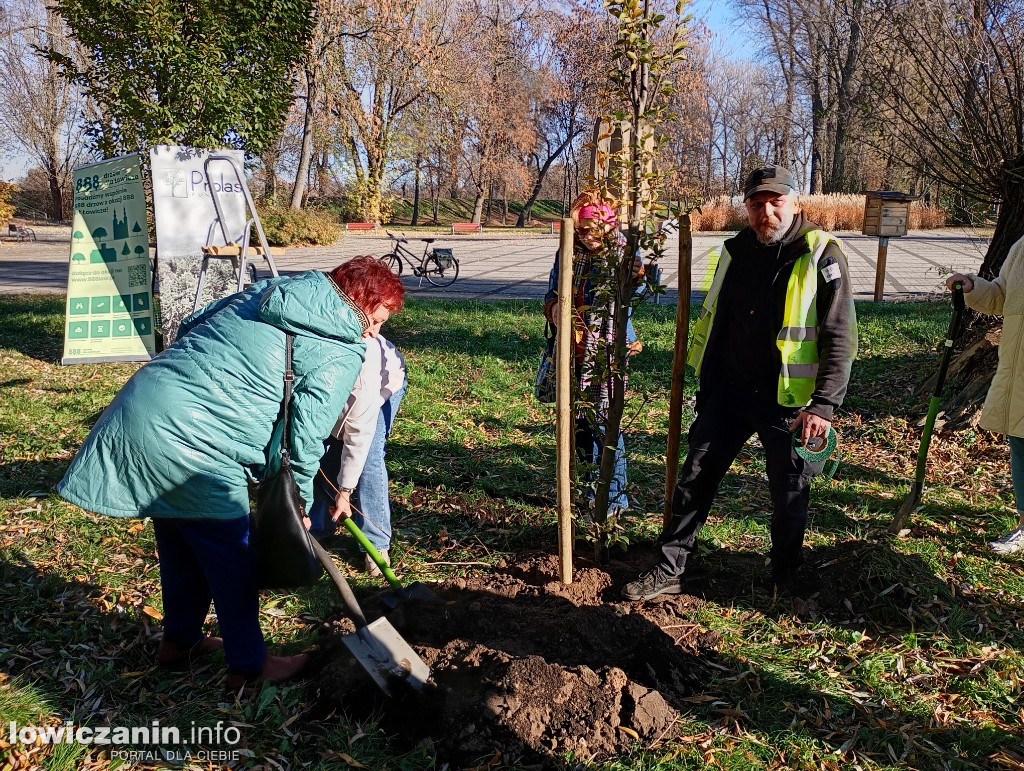 ŁUTW posadził kolejne drzewo z fundacją Prolas