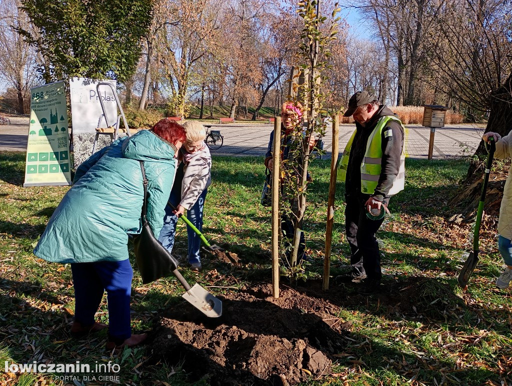 ŁUTW posadził kolejne drzewo z fundacją Prolas