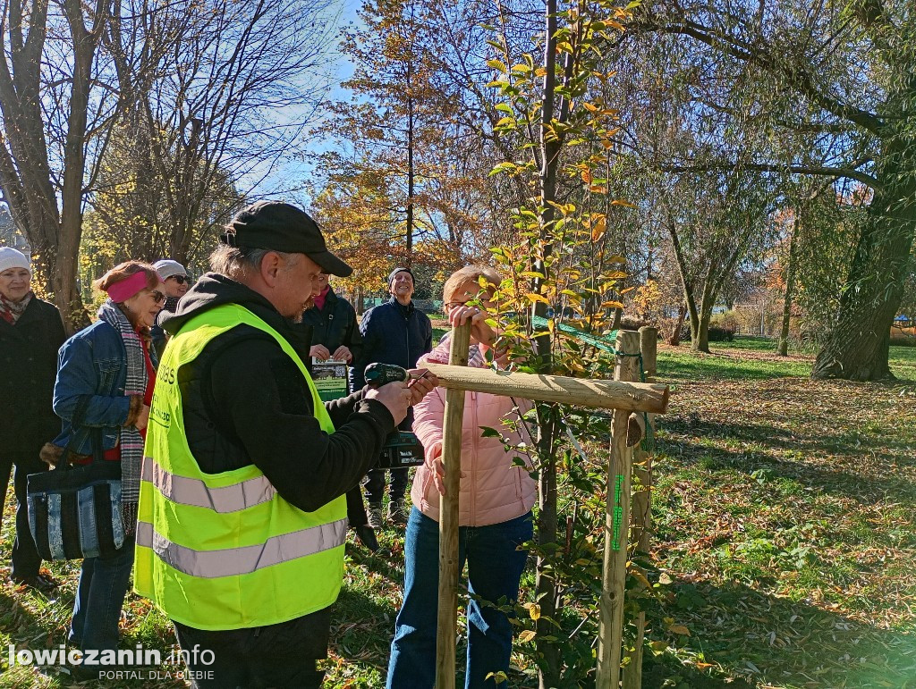 ŁUTW posadził kolejne drzewo z fundacją Prolas