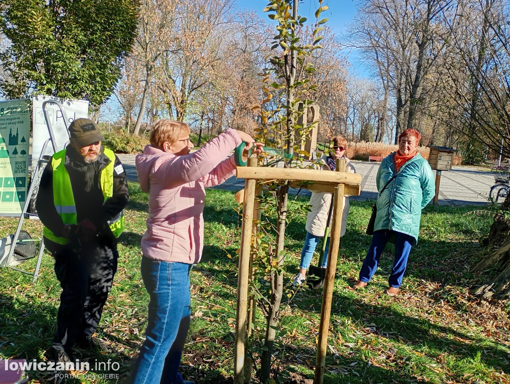 ŁUTW posadził kolejne drzewo z fundacją Prolas