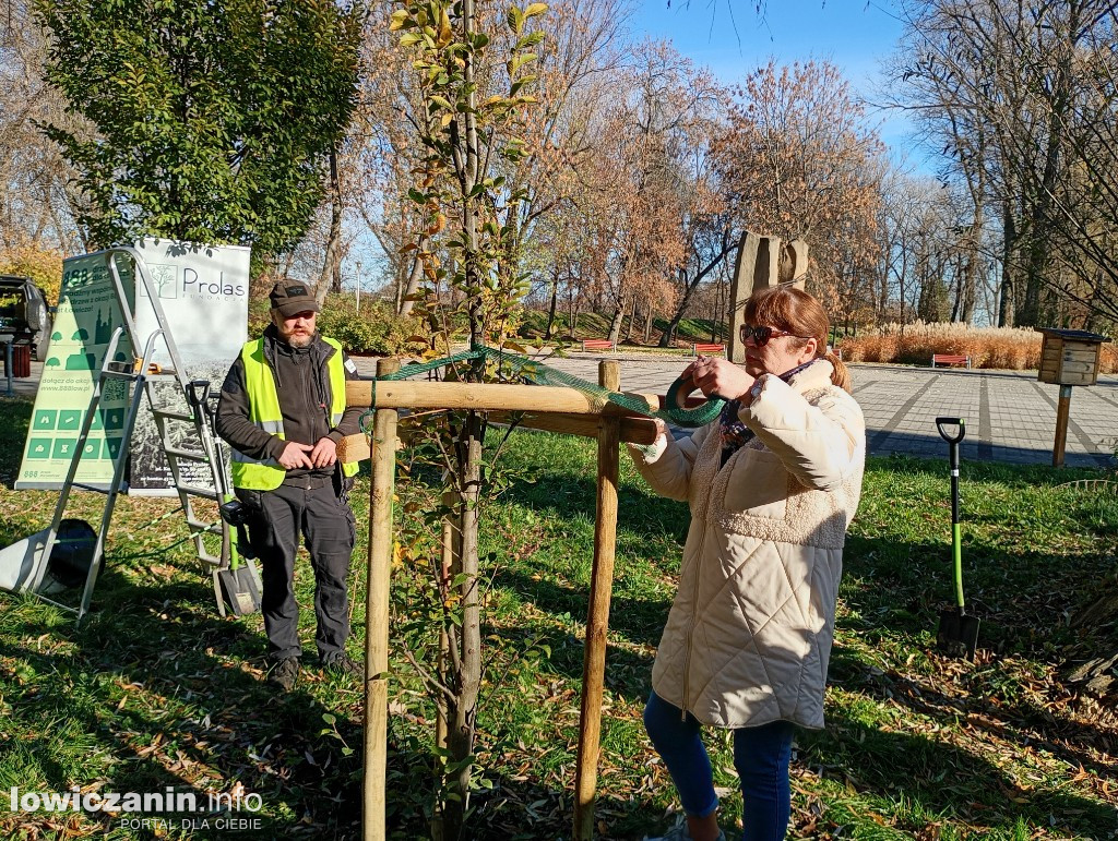 ŁUTW posadził kolejne drzewo z fundacją Prolas