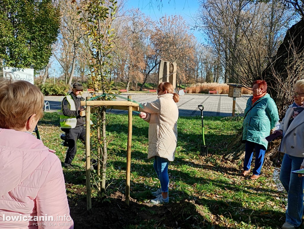 ŁUTW posadził kolejne drzewo z fundacją Prolas