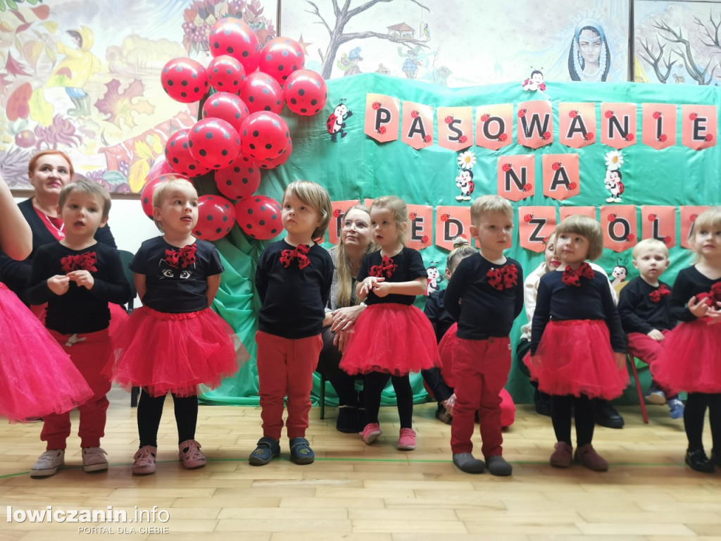 Ślubowanie Biedronek w Przedszkolu Jasia i Małgosi