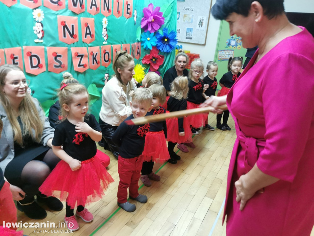Ślubowanie Biedronek w Przedszkolu Jasia i Małgosi