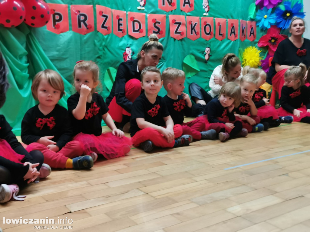 Ślubowanie Biedronek w Przedszkolu Jasia i Małgosi
