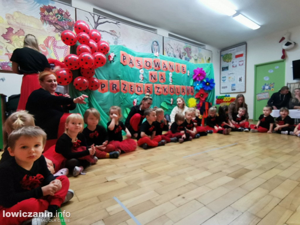 Ślubowanie Biedronek w Przedszkolu Jasia i Małgosi