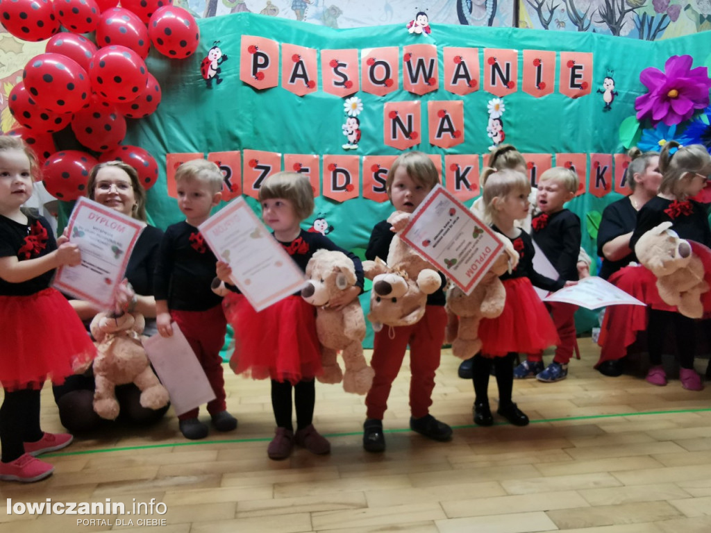 Ślubowanie Biedronek w Przedszkolu Jasia i Małgosi