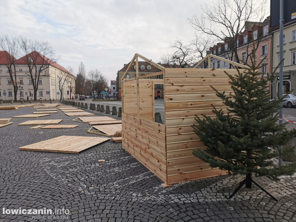 11-metrowa choinka już zdobi Stary Rynek w Łowiczu