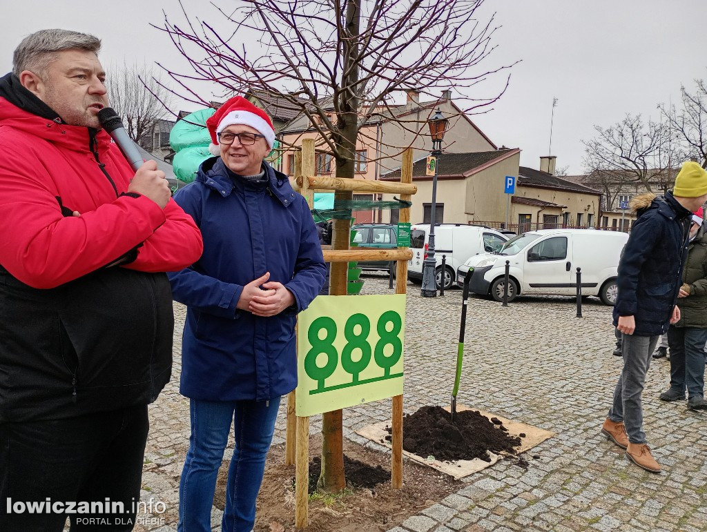 Ostatnie drzewo na 888 lat Łowicza