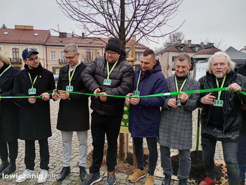 Ostatnie drzewo na 888 lat Łowicza
