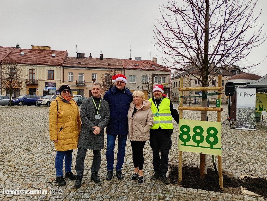 Ostatnie drzewo na 888 lat Łowicza