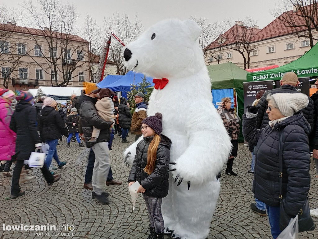 Choinka miejska w Łowiczu