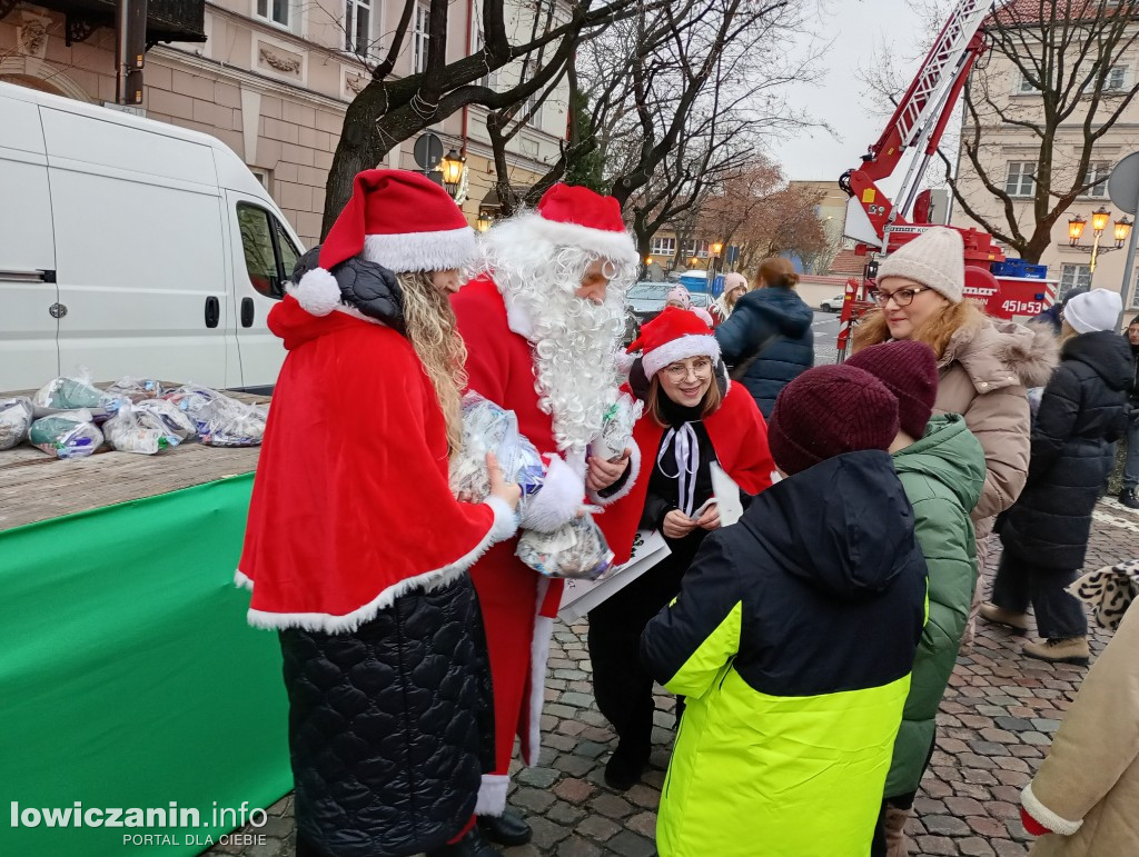 Choinka miejska w Łowiczu
