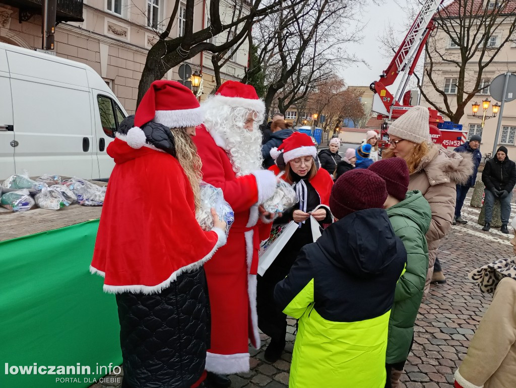 Choinka miejska w Łowiczu