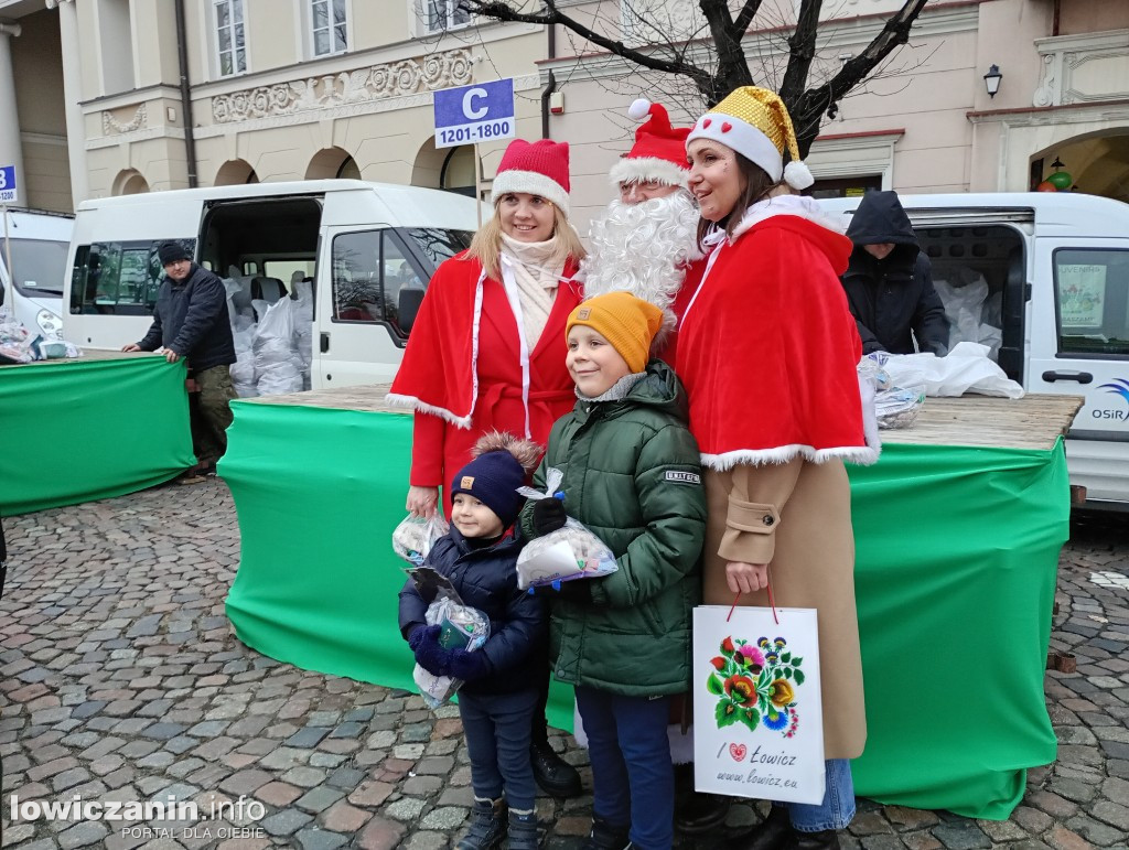 Choinka miejska w Łowiczu