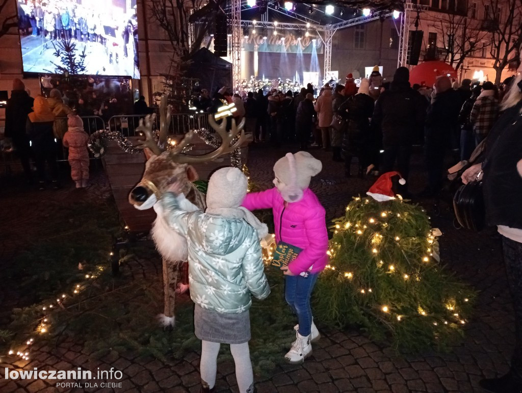 Choinka miejska w Łowiczu