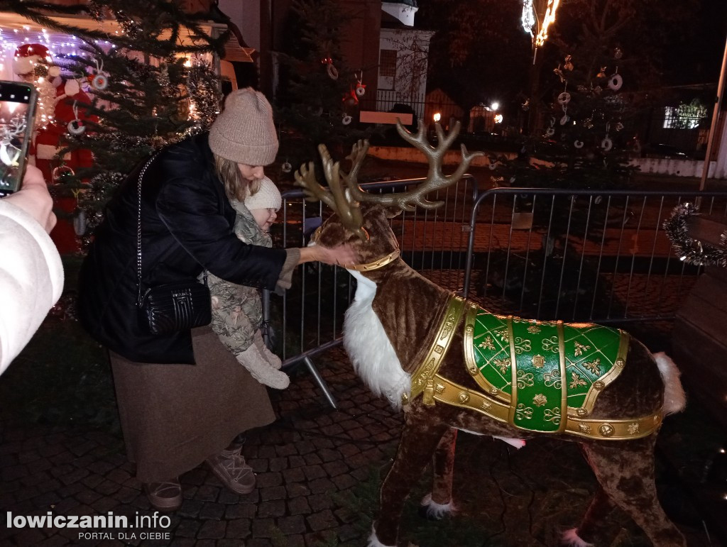 Choinka miejska w Łowiczu