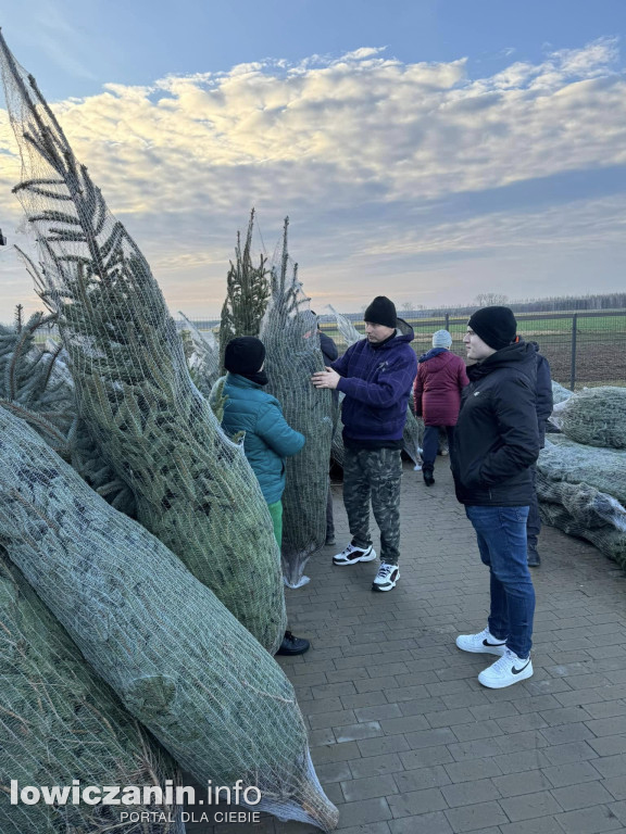 Choinka za makulaturę w gminie Nieborów
