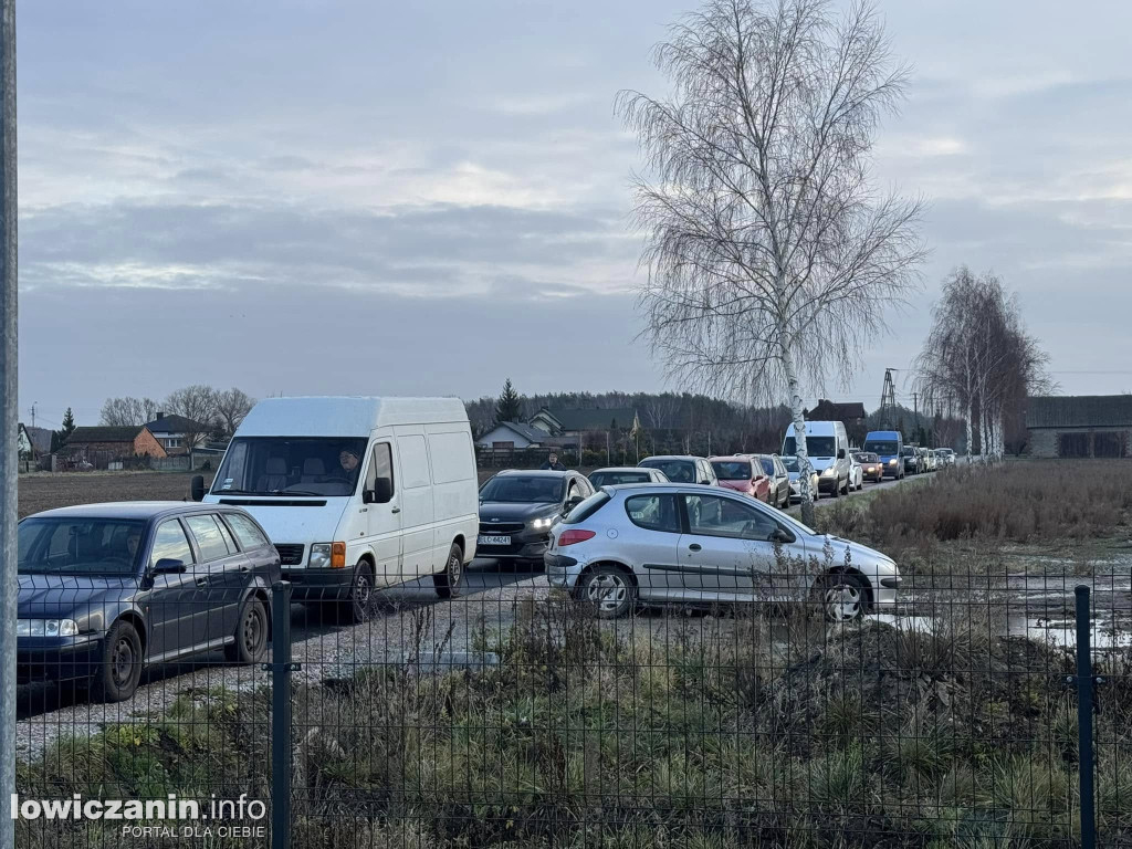 Choinka za makulaturę w gminie Nieborów