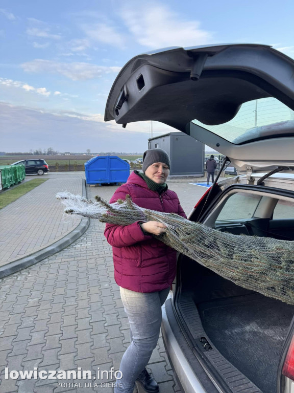 Choinka za makulaturę w gminie Nieborów