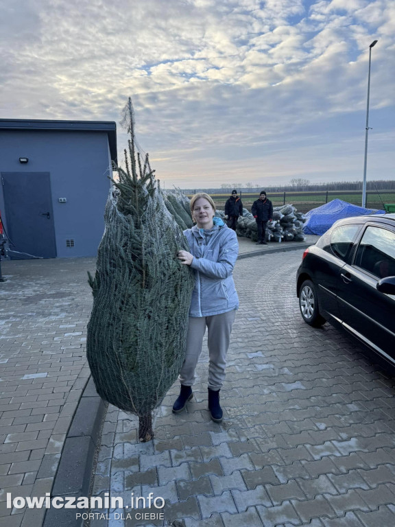 Choinka za makulaturę w gminie Nieborów