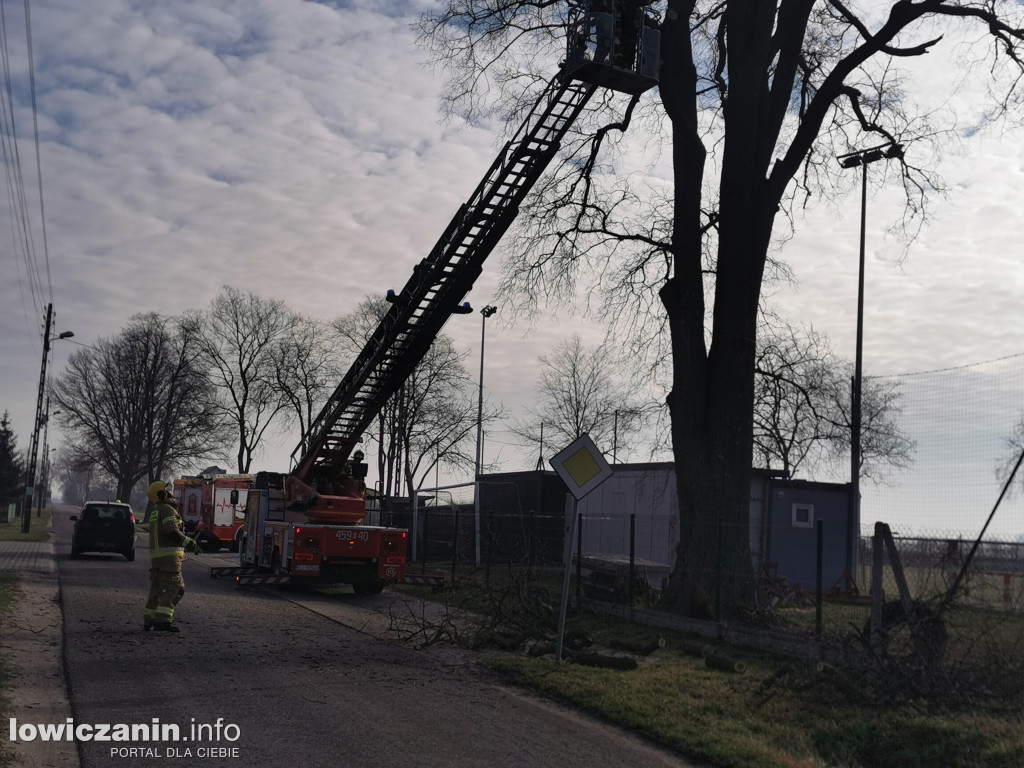 Niedźwiada. Niebezpieczne konary nad boiskiem