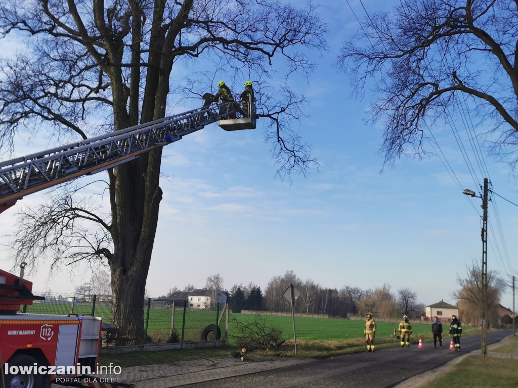 Niedźwiada. Niebezpieczne konary nad boiskiem